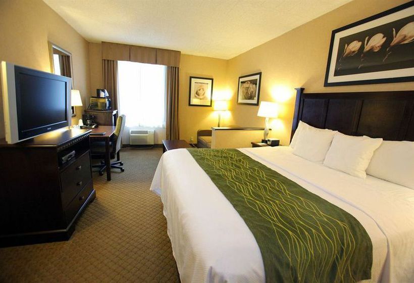 Hotel Comfort Inn & Suites  | Paramus | New Jersey | United States 13