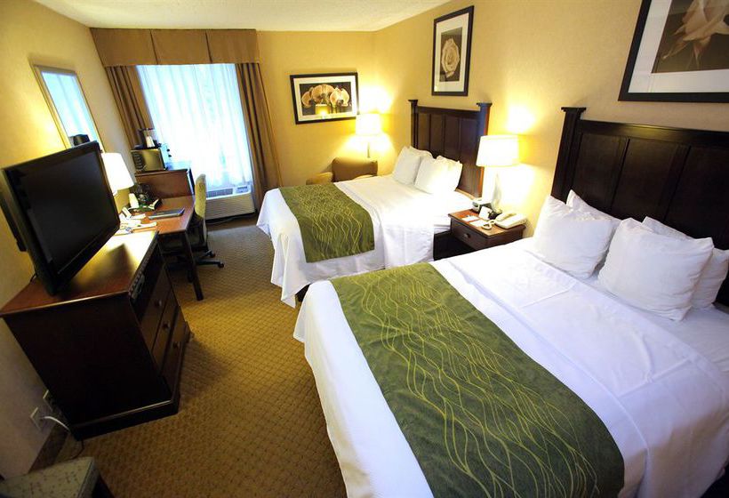 Hotel Comfort Inn & Suites  | Paramus | New Jersey | United States 16