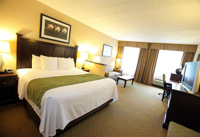 Hotel Comfort Inn & Suites  | Paramus | New Jersey | United States 6