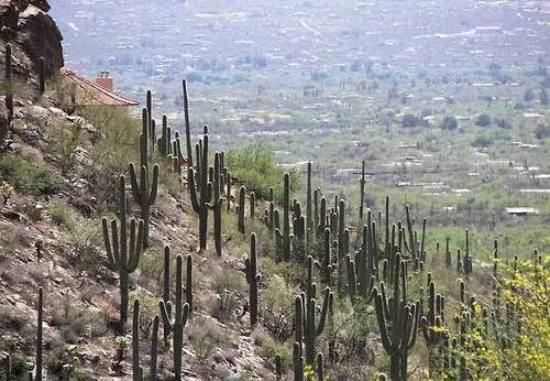 Residence Inn by Marriott  | Tucson | Arizona | Estados Unidos 19