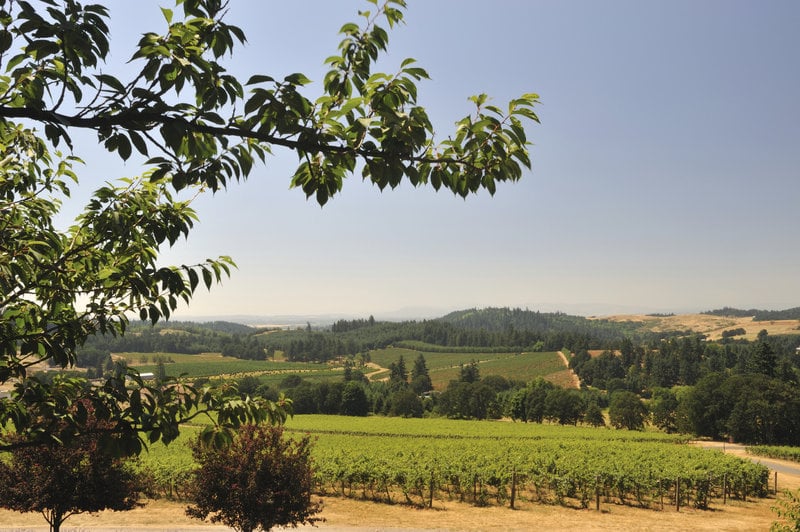 Residence Inn Portland South Lake Oswego 