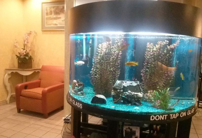 Valustay Inn & Suites Hotel  | Pueblo | Colorado | United States 10