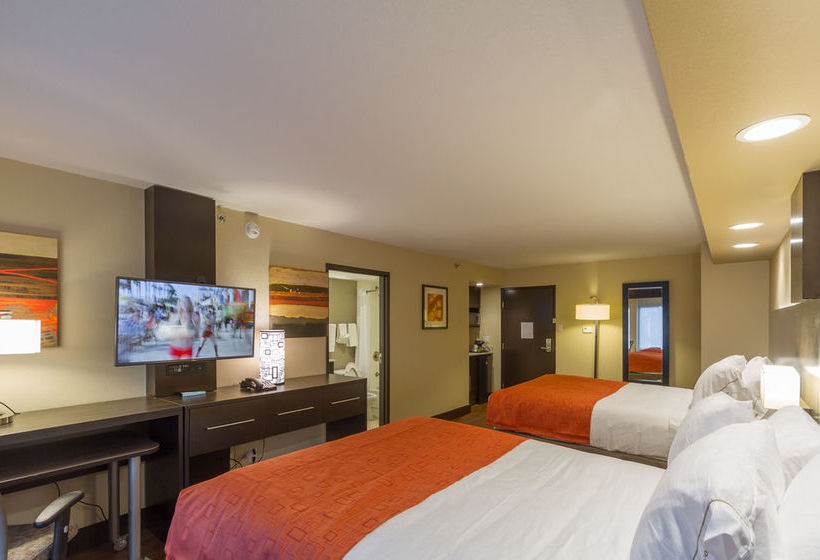 Hotel Holiday Inn Express & Suites San Antonio Medical Ctr North  | San Antonio | Texas | United States 13