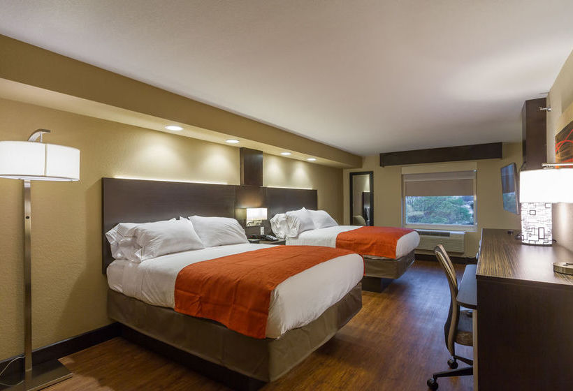 Hotel Holiday Inn Express & Suites San Antonio Medical Ctr North  | San Antonio | Texas | United States 17
