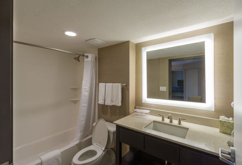 Hotel Holiday Inn Express & Suites San Antonio Medical Ctr North  | San Antonio | Texas | United States 5