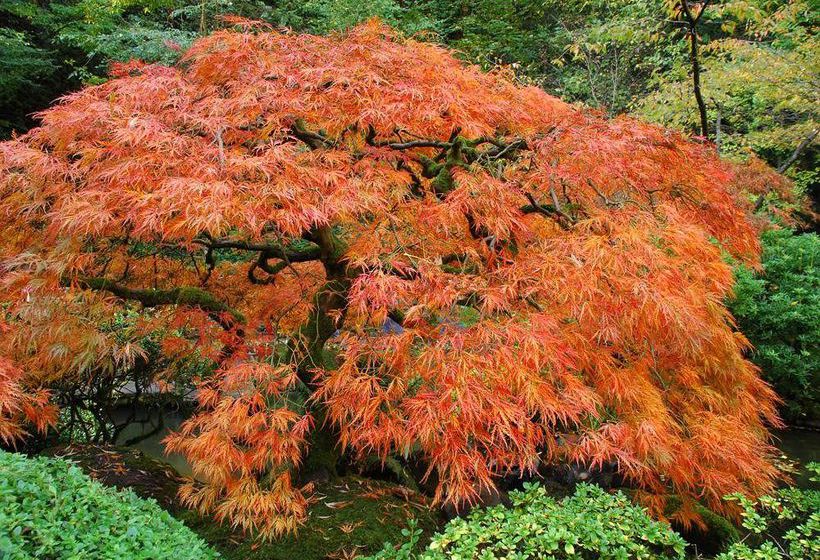 Hotel Shilo Inn Tigard Washington Square