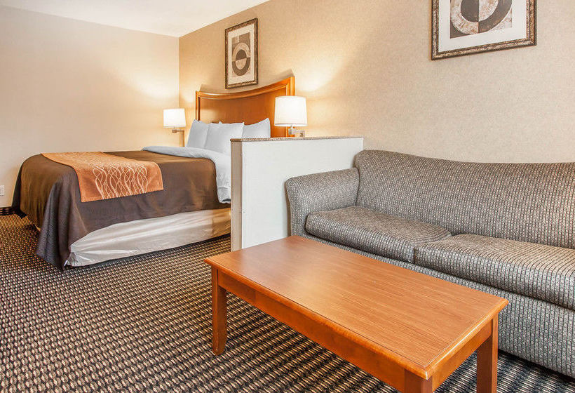 Hotel Comfort Inn & Suites Vancouver  | Vancouver | Washington | United States 14