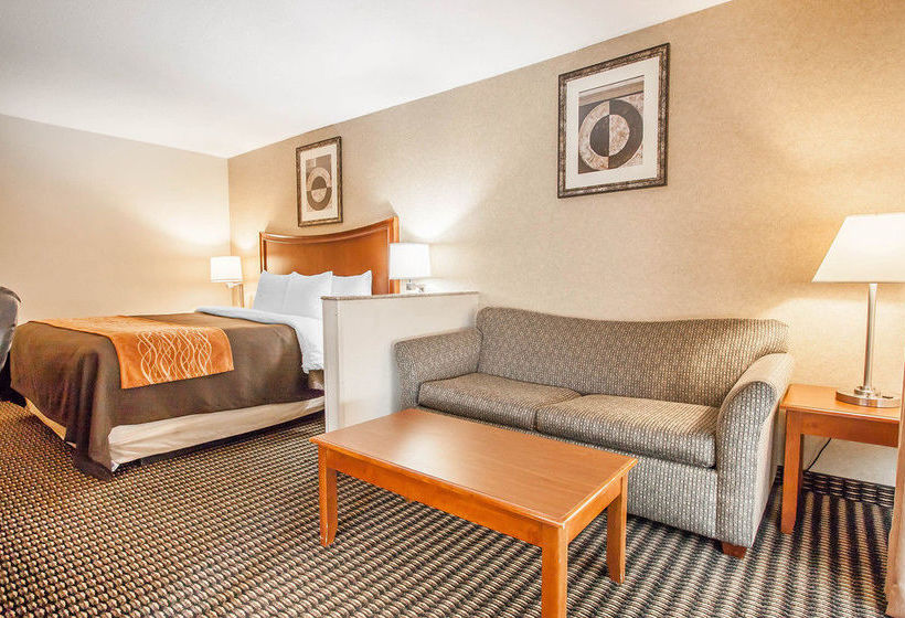 Hotel Comfort Inn & Suites Vancouver  | Vancouver | Washington | United States 6