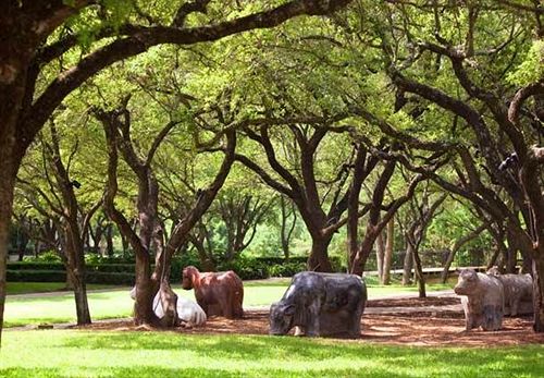 Renaissance Austin Hotel  | Austin | Texas | Hôtels aux États-Unis 10