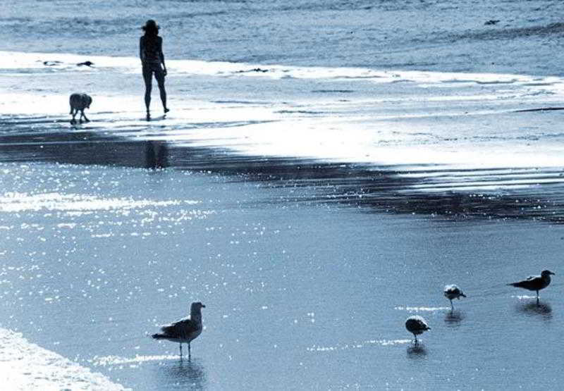 Fairfield Inn Portsmouth Seacoast  | Portsmouth | New Hampshire | United States 3