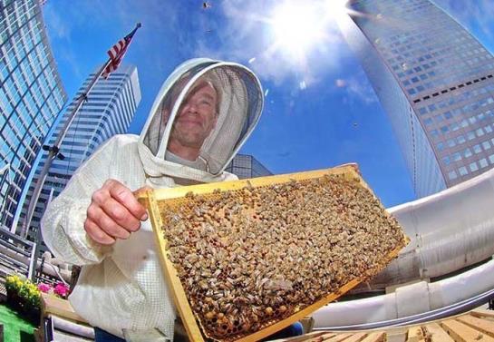 The Brown Palace Hotel & Spa  | Denver | Colorado | United States 6