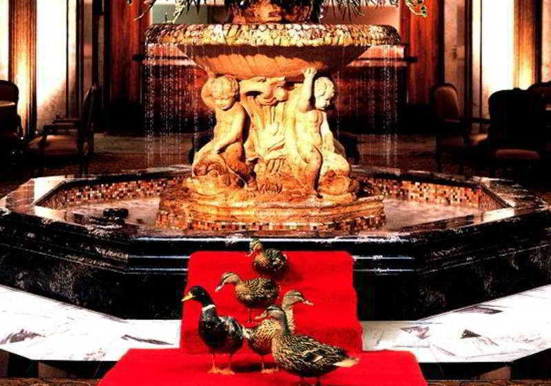 Hotel Peabody  | Memphis | Tennessee | United States 18