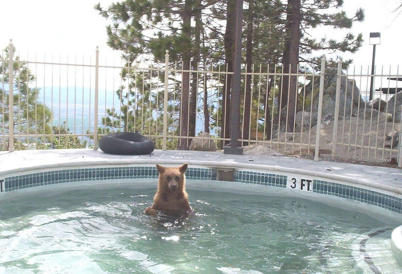 Hotel Ridge Tahoe  | Stateline | Nevada | United States 16