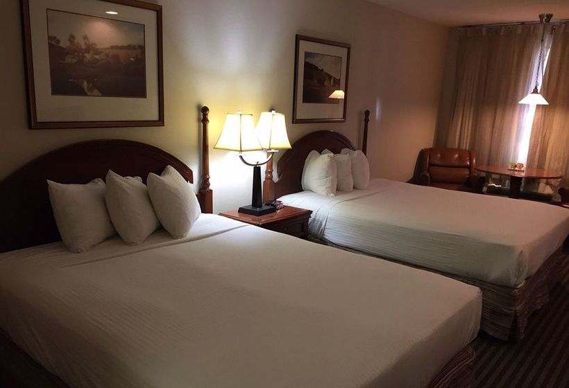 Thunderbird Motel  | Elko | Nevada | United States 3