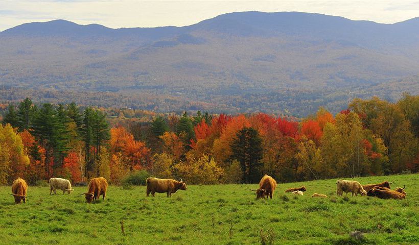 Hotel Trapp Family Lodge Vermont