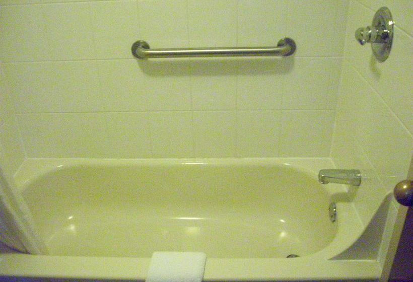 Hotel Victorian Inn  | Paris | Texas | United States 3