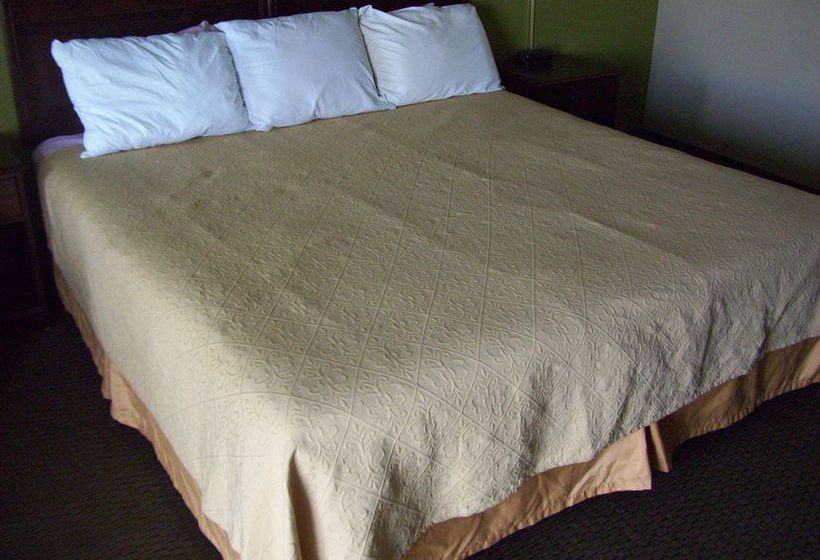 Hotel Victorian Inn  | Paris | Texas | United States 7