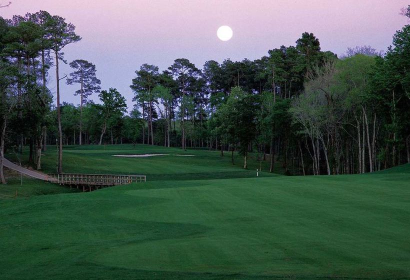 Hotel Hilton Houston North  | Houston | Texas | United States 5