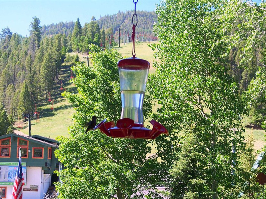 Hôtel Alpine Lodge  | Red River | New Mexico | Hôtels aux États-Unis 7
