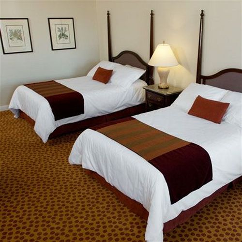 Hotel Camino Real El Paso  | El Paso | Texas | United States 19