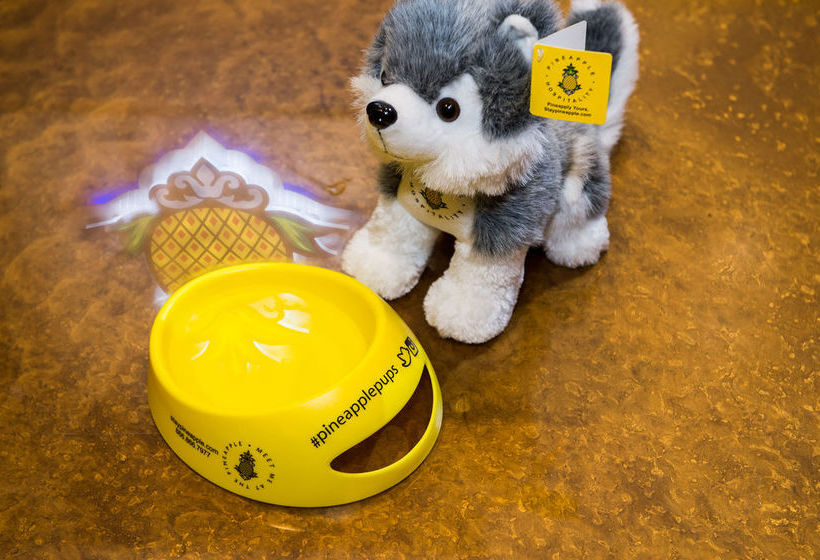 Hotel University Inn  | Seattle | Washington | United States 2