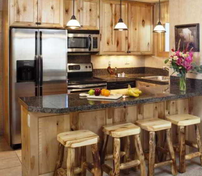 Hotel Tamarack Townhouses  | Snowmass Village | Colorado | United States 10