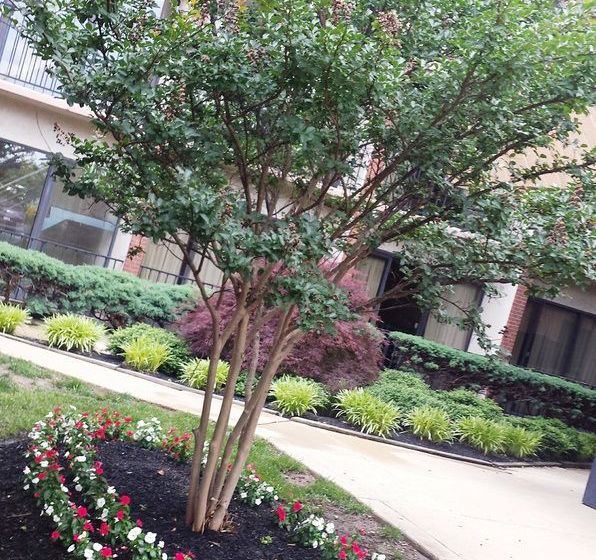 Hotel Comfort Inn Capitol Heights  | Capitol Heights | Maryland | United States 13