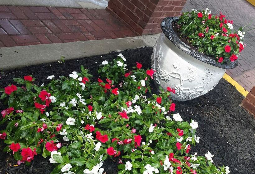 Hotel Comfort Inn Capitol Heights  | Capitol Heights | Maryland | United States 4