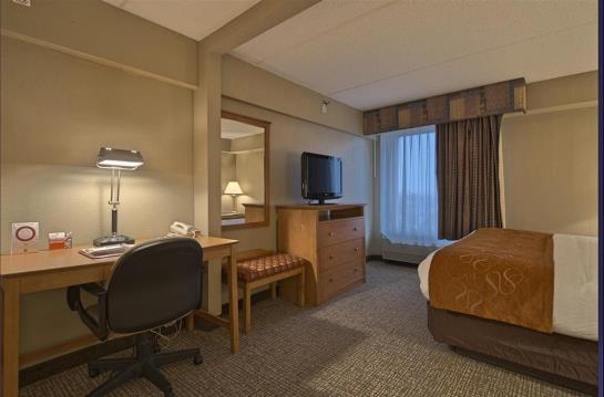 Hotel Comfort Suites Allentown  | Allentown | Pennsylvania | United States 11