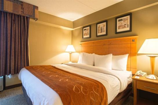 Hotel Comfort Suites Allentown  | Allentown | Pennsylvania | United States 13