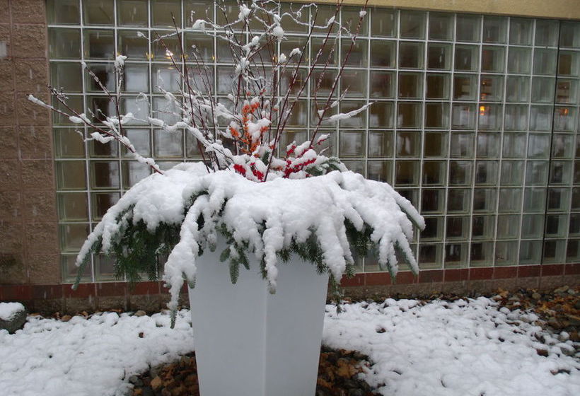 Hotel Comfort Suites Allentown  | Allentown | Pennsylvania | United States 6