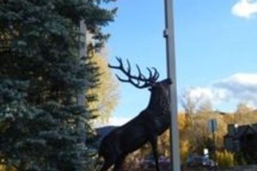 Hotel Best Western Aspenalt Lodge 