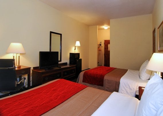 Hotel Comfort Inn  | Clemson | South Carolina | United States 12