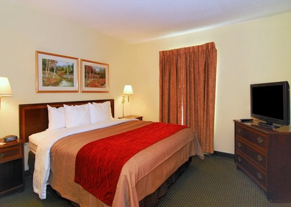 Hotel Comfort Inn  | Clemson | South Carolina | United States 5