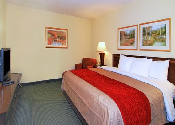 Hotel Comfort Inn  | Clemson | South Carolina | United States 7