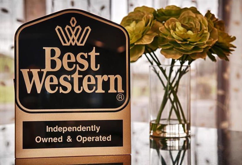 Hotel Best Western Executive Inn  | Dickson | Tennessee | Estados Unidos 5