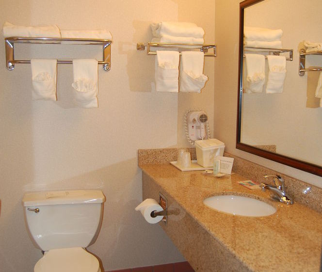Hotel Comfort Inn  | Fallon | Nevada | United States 17