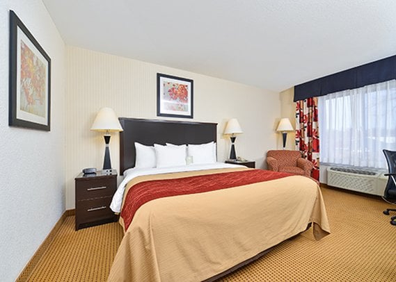Hotel Comfort Inn  | Farmington | New Mexico | United States 5