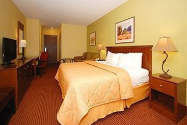 Hotel Comfort Inn I-17 & I-40  | Flagstaff | Arizona | United States 12