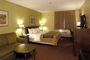Hotel Comfort Inn I-17 & I-40  | Flagstaff | Arizona | United States 4