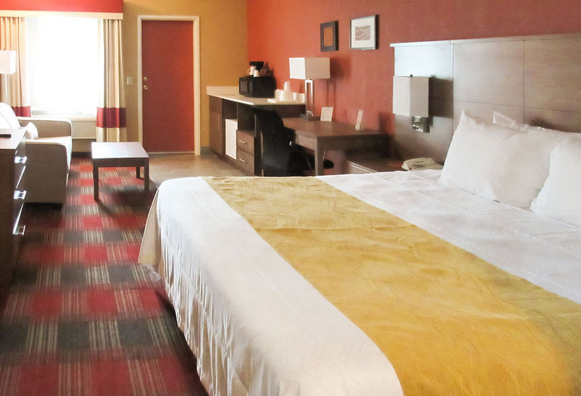 Hotel Econo Lodge  | Flagstaff | Arizona | United States 8