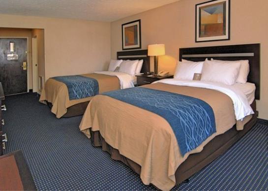 Hotel Comfort Inn Independence  | Independence | Ohio | United States 5