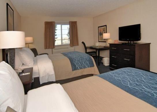 Hotel Comfort Inn Independence  | Independence | Ohio | United States 7
