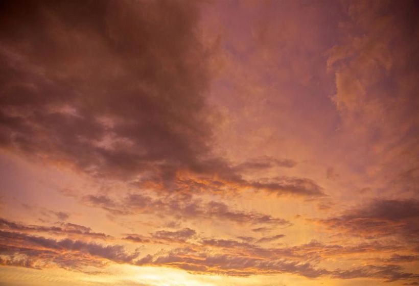 Hotel Best Western Ocean Reef Suites  | Kill Devil Hills | North Carolina | United States 5