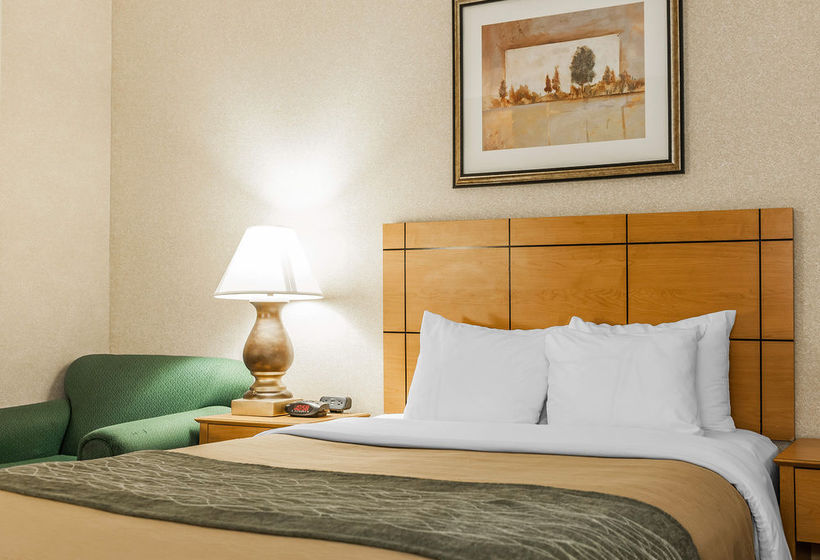 Hotel Comfort Inn  | Kokomo | Indiana | United States 10