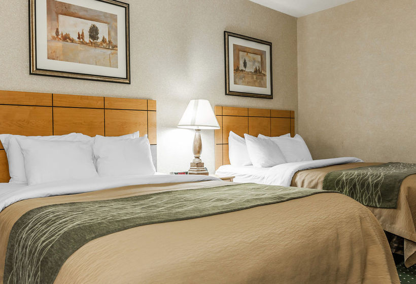 Hotel Comfort Inn  | Kokomo | Indiana | United States 13