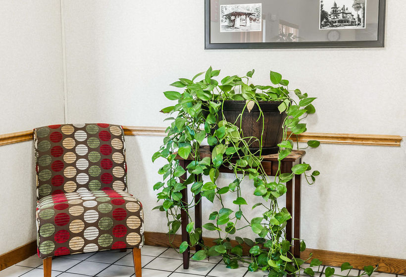 Hotel Comfort Inn  | Kokomo | Indiana | United States 6