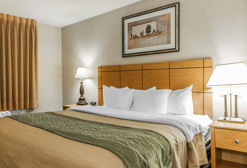 Hotel Comfort Inn  | Kokomo | Indiana | United States 7