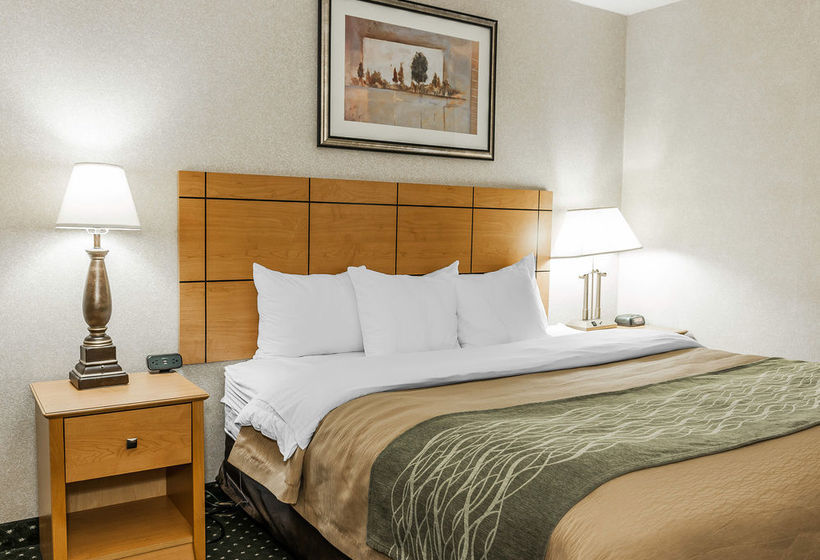 Hotel Comfort Inn  | Kokomo | Indiana | United States 9