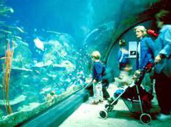 Hotel Best Western Denver Southwest  | Lakewood | Colorado | United States 20